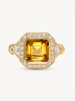 The Mick Ring
