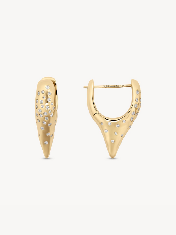 Diamonds in the Rough Pointed Hoops
