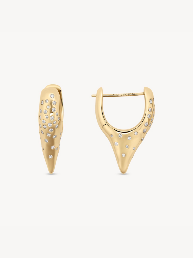 Diamonds in the Rough Pointed Hoops