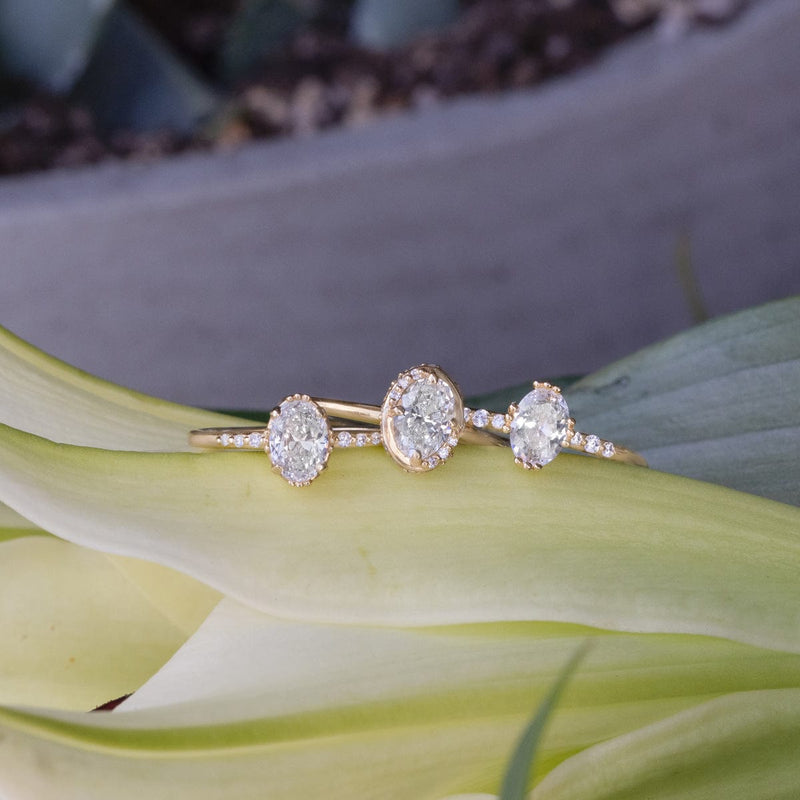 [TEST] Diamond Ring