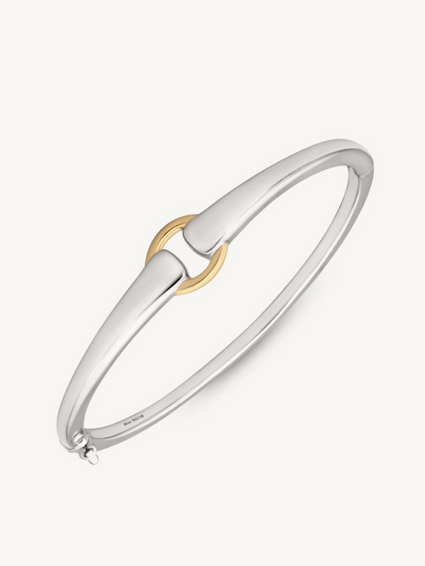 Mixed Metal Buckle Bracelet