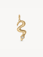 Snake Charm