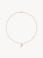 Colibri Charm