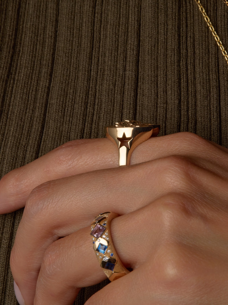 Equestrian Ring