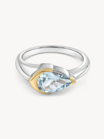 Lennie Ring