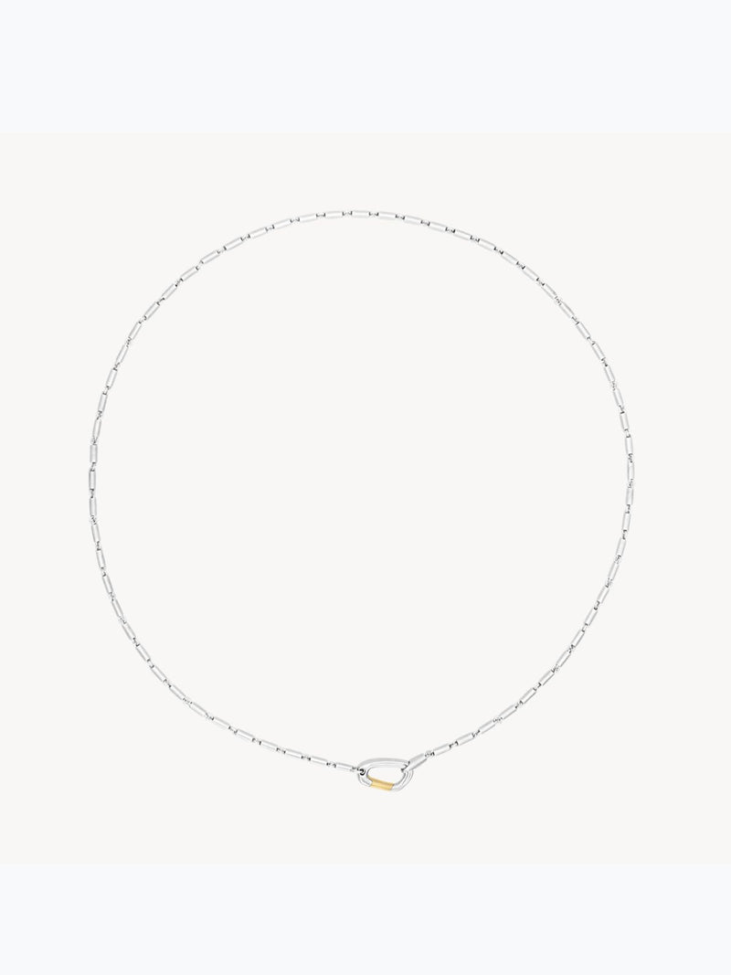 Mason Chain Carabiner Necklace