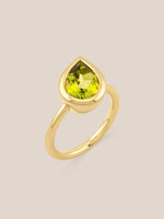 The Dune Ring