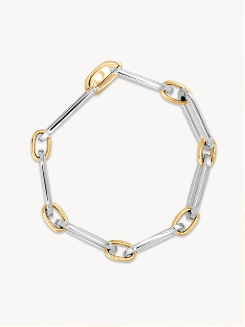Mixed Metal Latch Link Bracelet