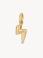 Mini Golden Charms