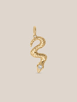 Snake Charm