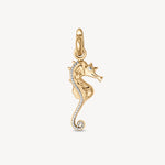 Seahorse Charm