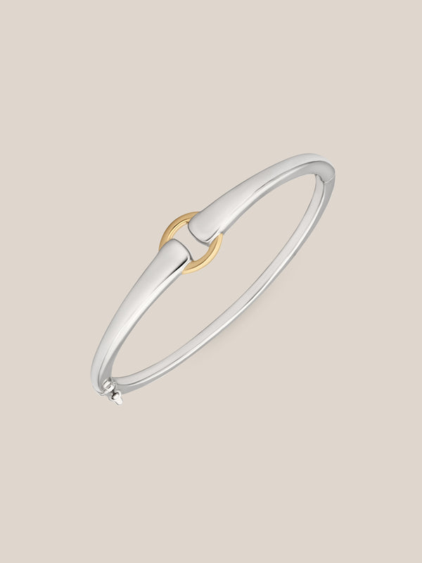 Mixed Metal Buckle Bracelet