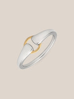 Mixed Metal Buckle Ring
