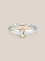 Mixed Metal Buckle Ring