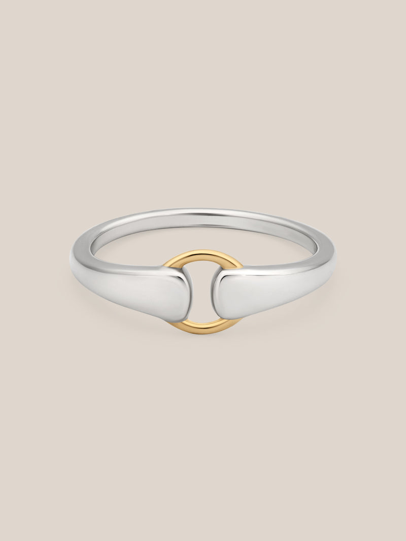 Mixed Metal Buckle Ring