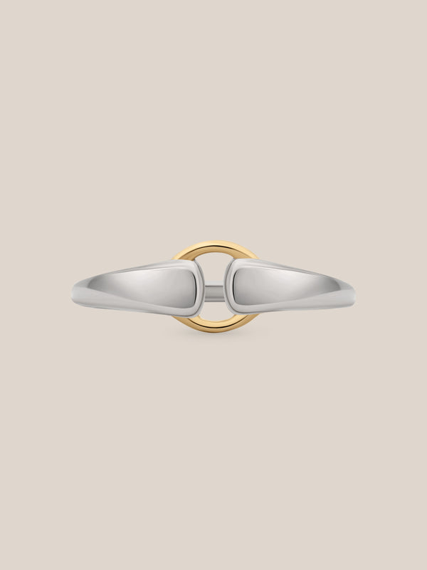 Mixed Metal Buckle Ring