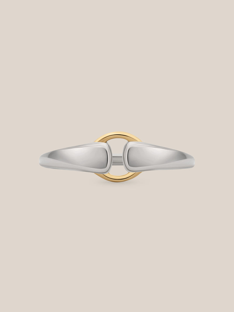 Mixed Metal Buckle Ring