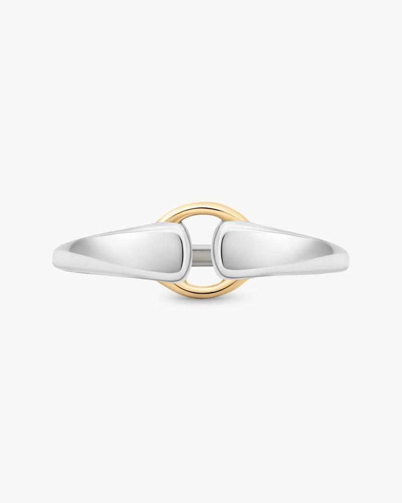 Mixed Metal Buckle Ring