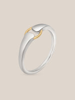 Mixed Metal Buckle Ring