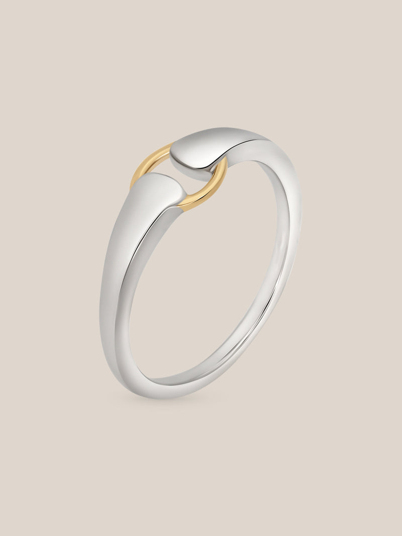 Mixed Metal Buckle Ring