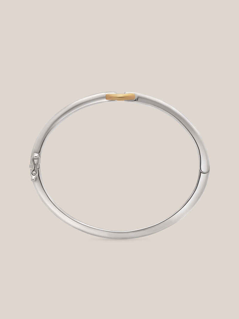 Mixed Metal Buckle Bracelet