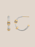 Golden Arc Hoops