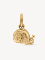 Mini Golden Charms