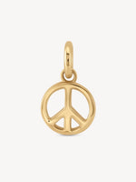 Mini Golden Charms