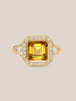 The Mick Ring