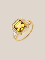 The Mick Ring