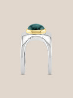 The Gillian Ring