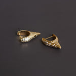 Diamonds in the Rough Pointed Hoops