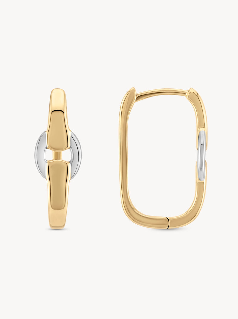 Two-Toned Buckle Earrings