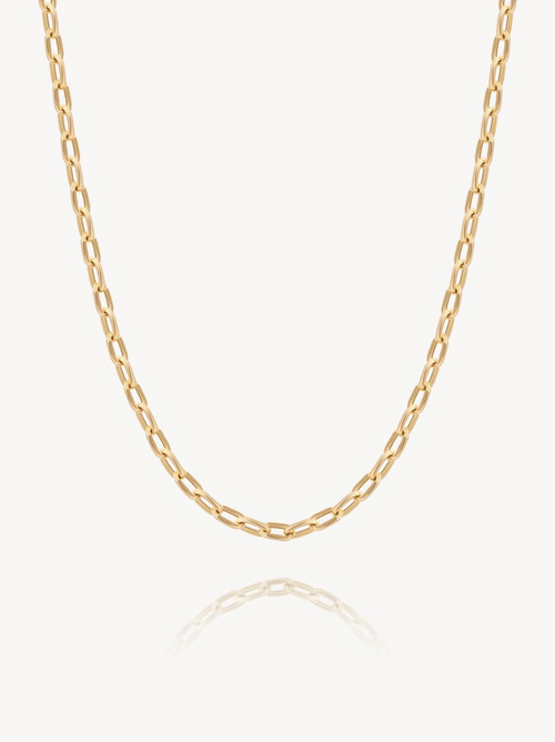 Anchor Chain in 14k Yellow Gold | Audry Rose