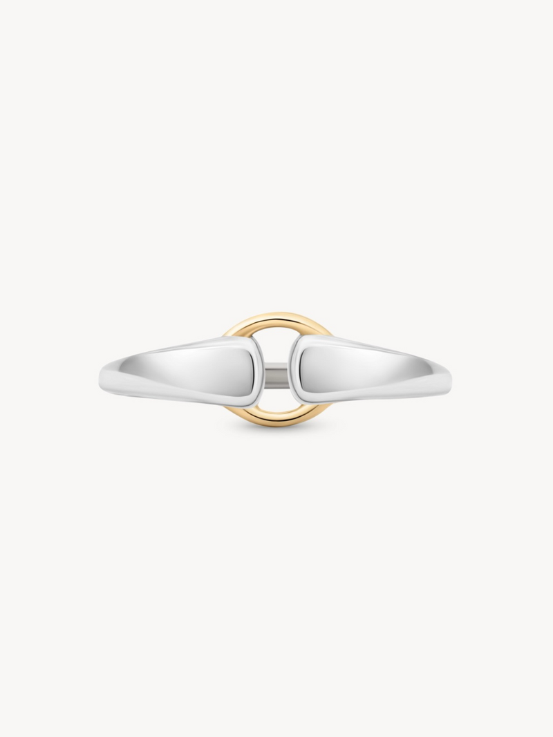 Mixed Metal Buckle Ring