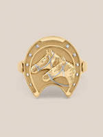 Equestrian Ring