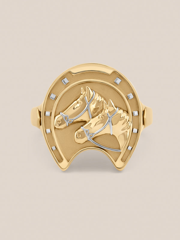 Equestrian Ring