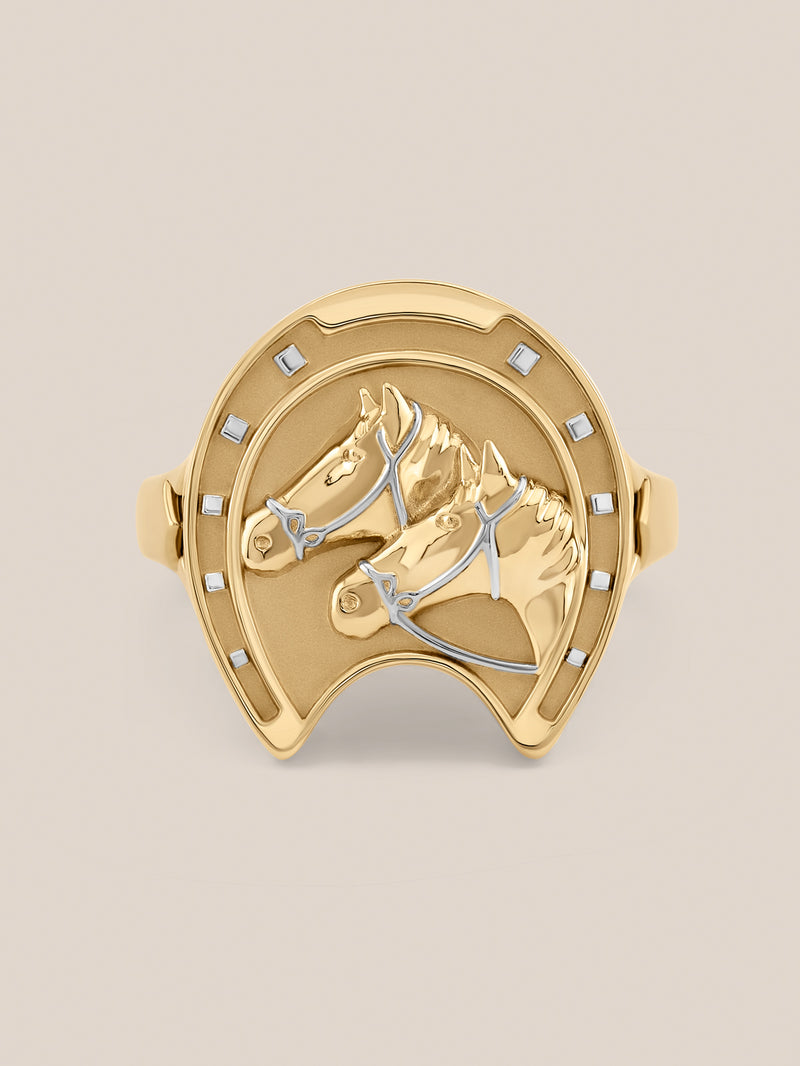 Equestrian Ring