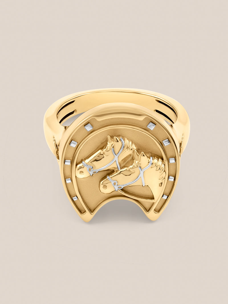 Equestrian Ring