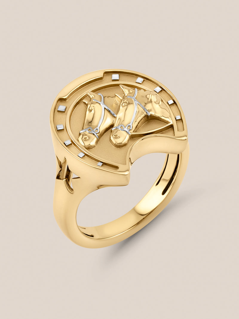 Equestrian Ring
