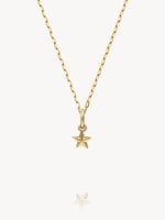 Mini Golden Charms