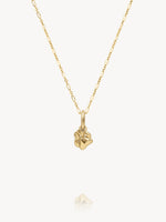 Mini Golden Charms