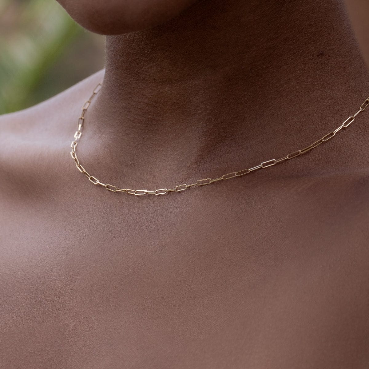Paper Clip Chain in 14k Yellow Gold | Audry Rose